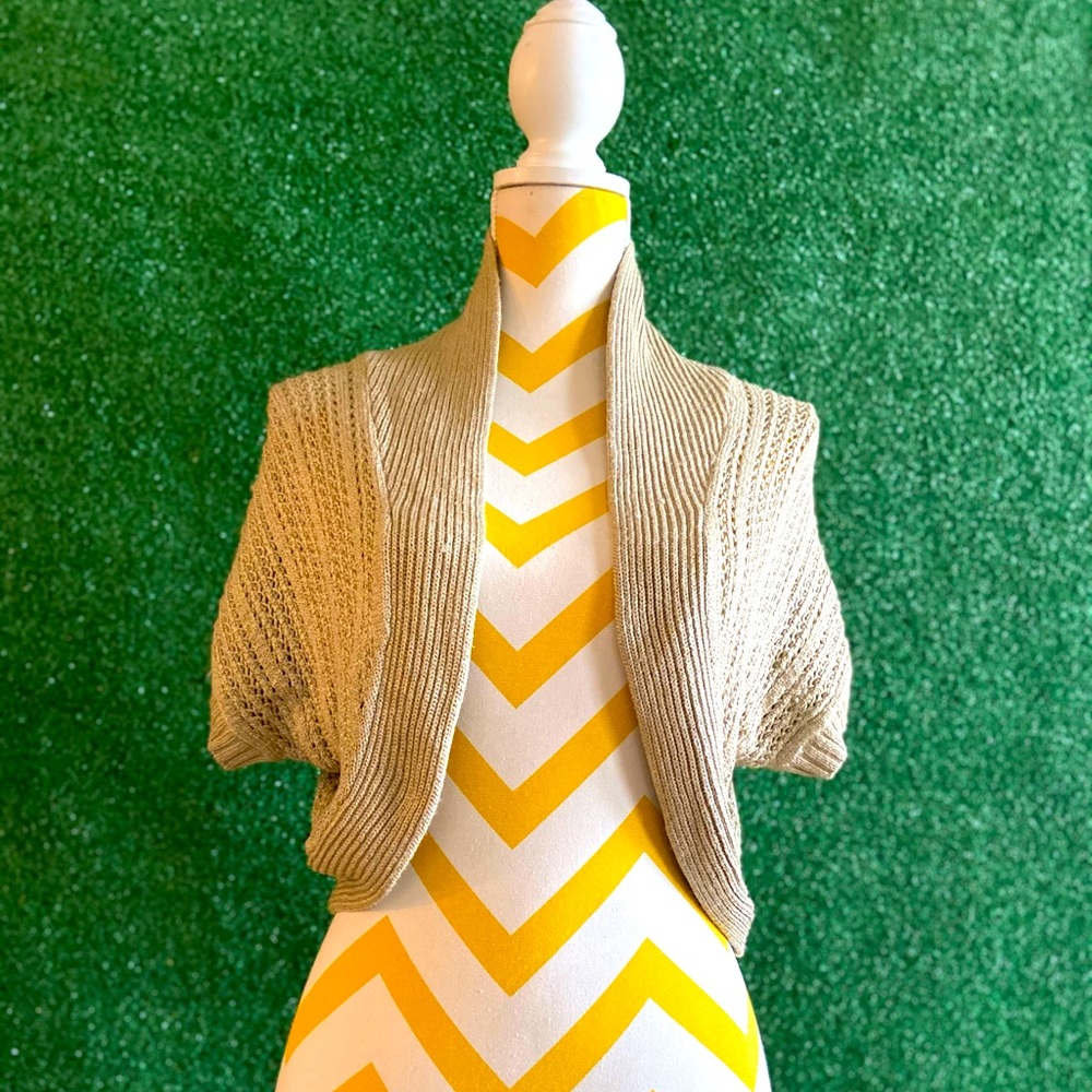 Elegant Chiffon!!!!